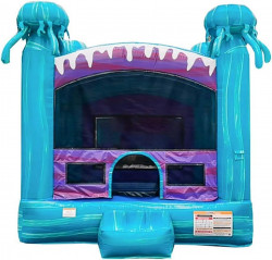 Jumpin' Jellyfish 13*13 Bounce House