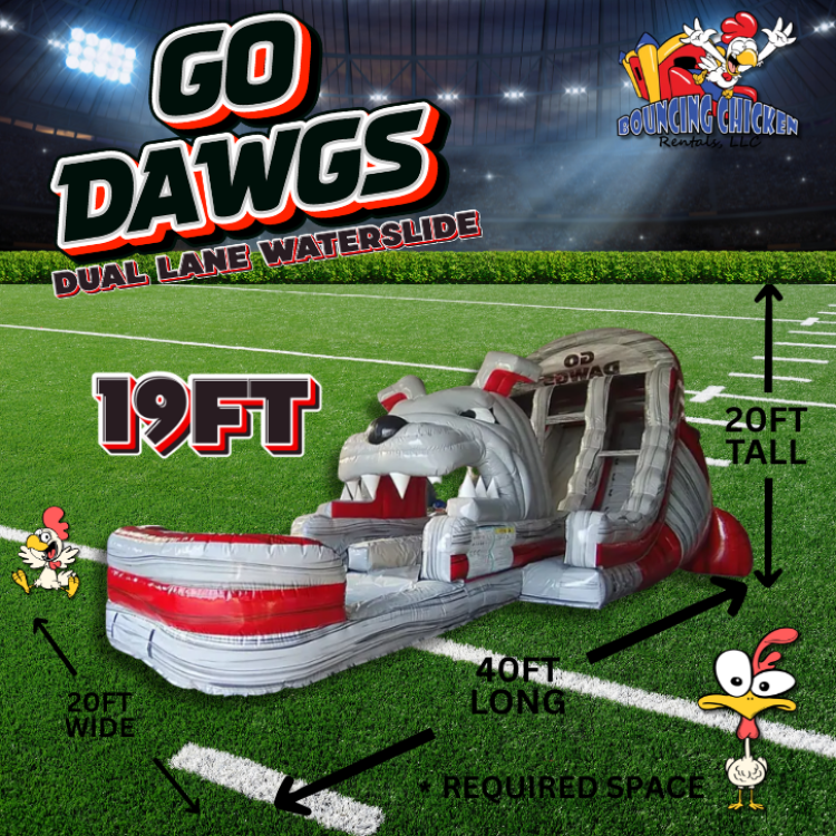 19' Go Dawgs Dual Lane Hybrid Slide